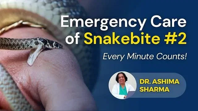 Emergency Care of Snakebite: Part II