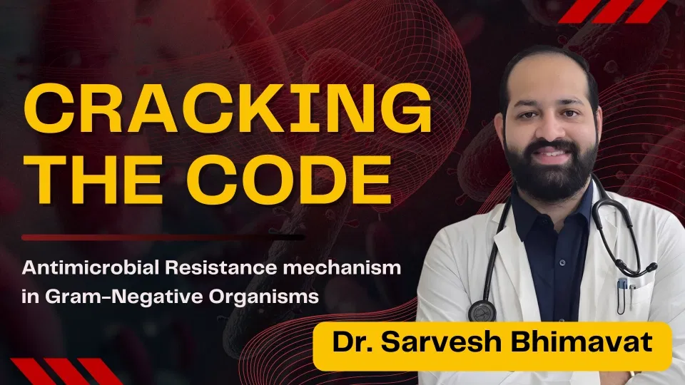 Cracking the Code: Antimicrobial Resistance mechanism in Gram-Negative Organisms